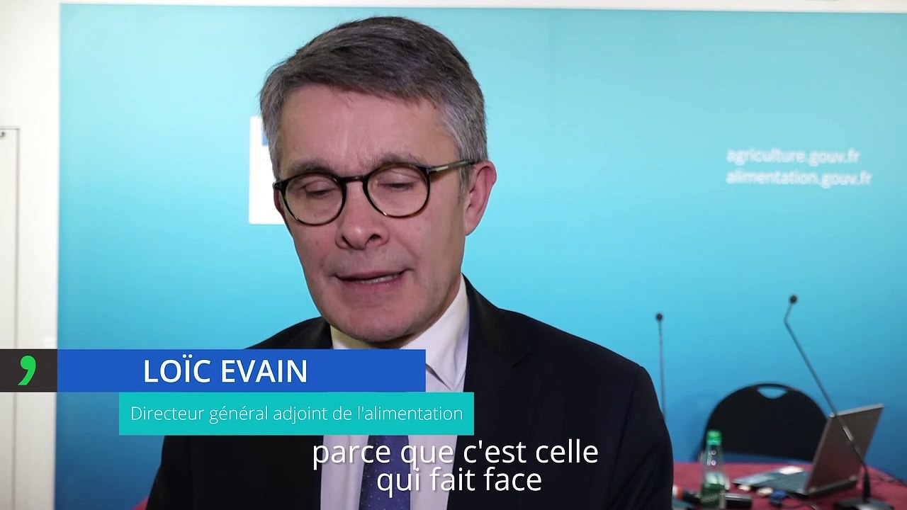 Peste porcine africaine : le détail des mesures de prévention