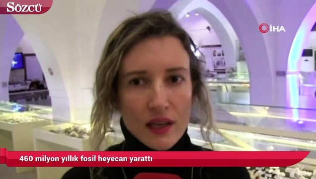 460 milyon yıllık fosil heyecan yarattı
