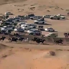 Course de chevaux qui tourne en catastrophe