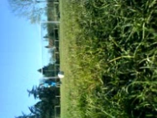 concour de Transversale simon & ulysse