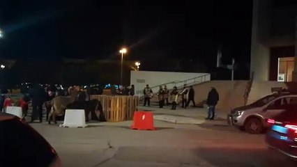 Benedizione degli animali a Molfetta - Sant'Antonio 2019