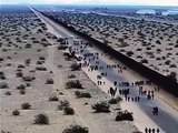 376 migrantes cruzan a EE.UU. A través de un túnel