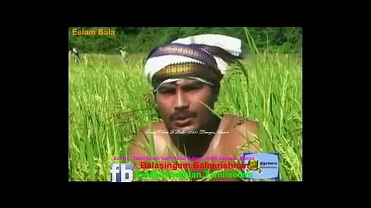 Tamil Eelaththil Anru Tamilargalin Thirunaal » Tamil Eelam Yaal. Nallur B-U.Bala - 87280 Limoges, France