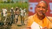 Lok Sabha Election 2019 : Yogi Adityanath का बड़ा दांव, UP में Farmers का कर्जमाफ | वनइंडिया हिंदी