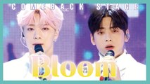 [Comeback Stage] ASTRO - Bloom , 아스트로 - 피어나 Show Music core 20190119