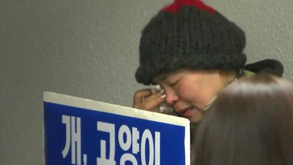 박소연 입장 표명...동물권단체 "정신 못 차렸다" / YTN