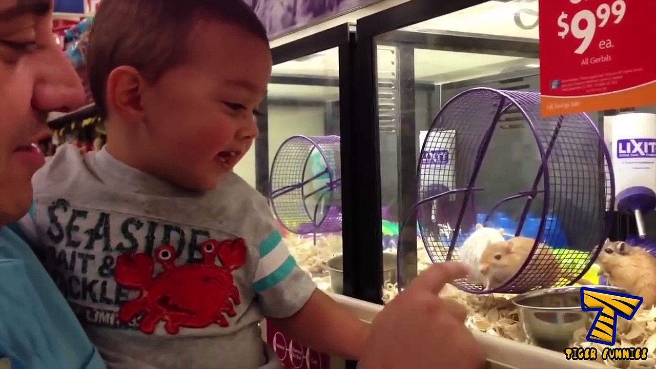 Babies can't stop laughing - CAN YOU