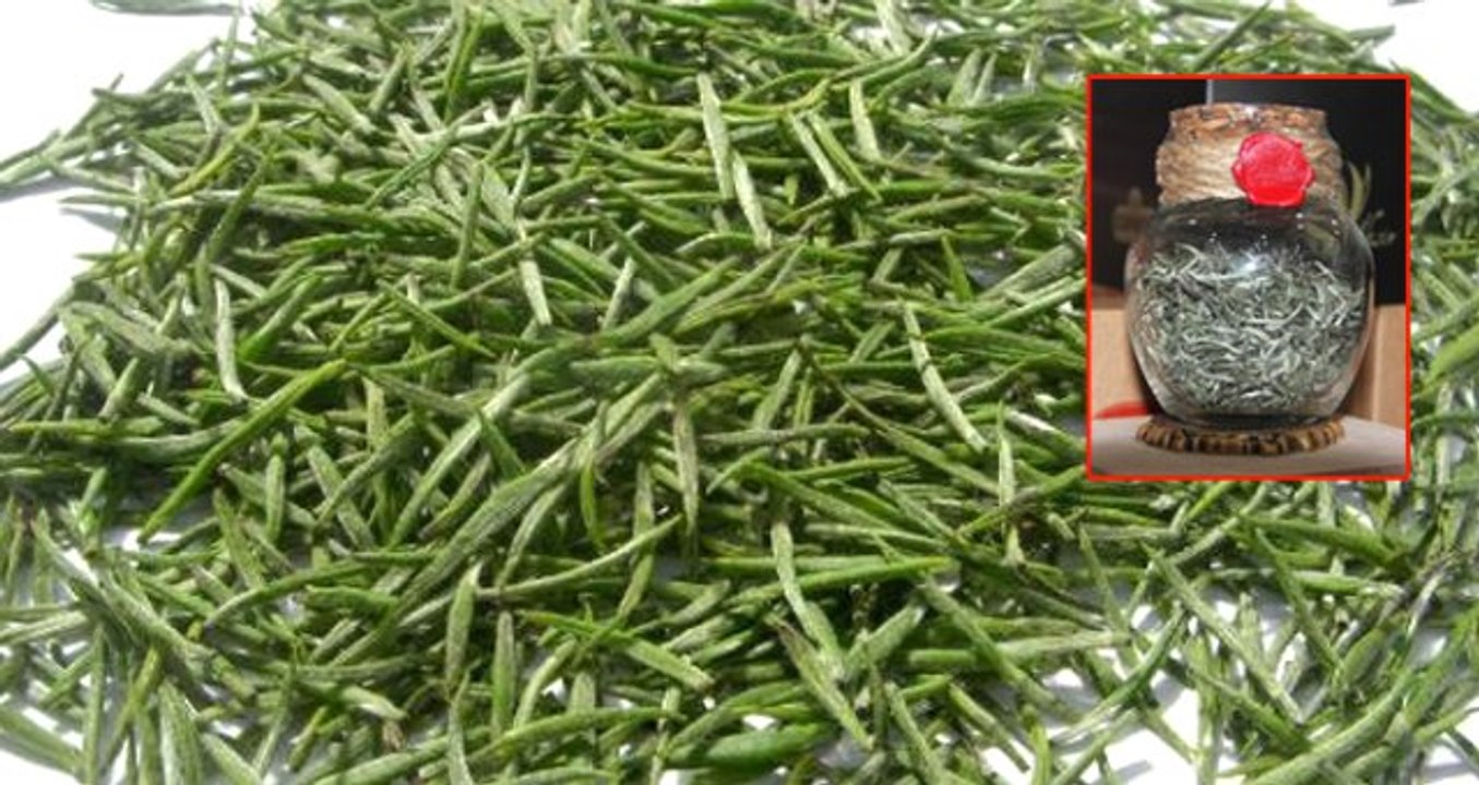 5 Yıl Önce Doğu Karadeniz'de Üretimine Başlanan Beyaz Çayın Kilosu 4 Bin TL'den Satılıyor