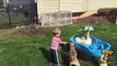 Be carefull it's cuteness overload video! Funny PET&BABY COMPILATION