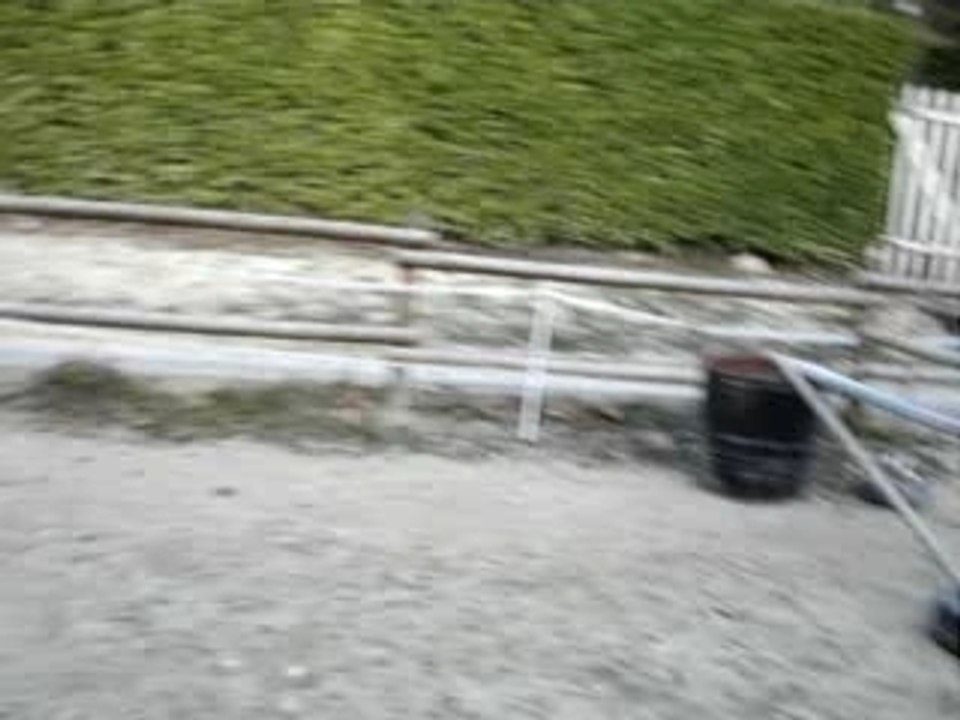 Ninou