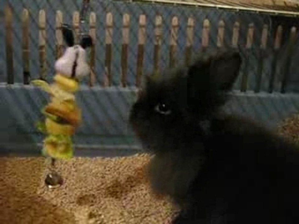 Cactus aime les brochettes