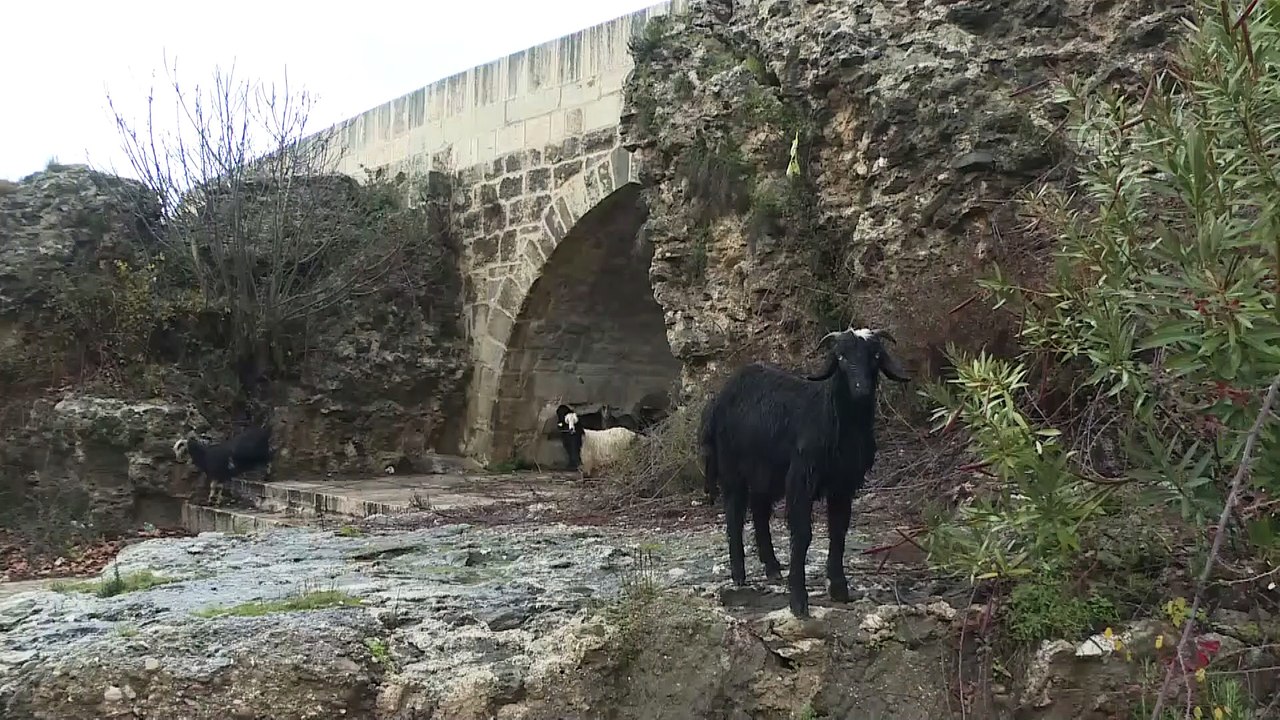 Tarihin en görkemli tanığı: Alaeddin Keykubad K...