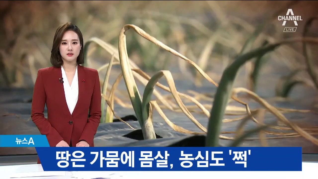 땅은 가뭄에 몸살…봄 농사 앞두고 걱정 ‘이만저만’