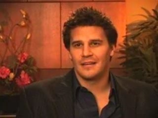 Random Rant - David Boreanaz