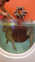 Babies Neck Float Swimming