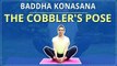 Learn How To Do The COBLER POSE | Baddha Konasana |Simple Yoga| Yoga For Beginners | Mind Body Soul