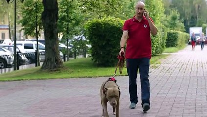 Молодежка 6 сезон 31 серия 2018