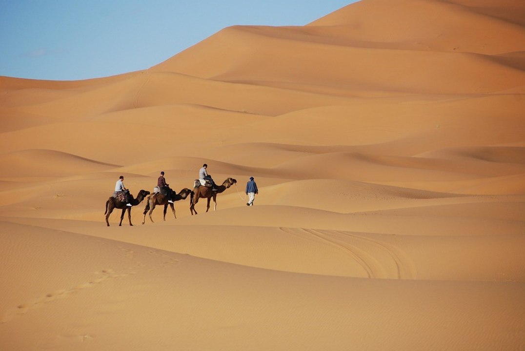 Six bonnes raisons de visiter Taghit