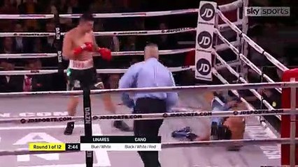 Pablo Cesar Cano vs Jorge Linares Full Fight HD