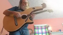 COMFORTABLY NUMB DARK SIDE OF THE MOON HARP GUITAR TRIBUTE - CHRIS YOUNG