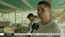 Venezuela: huertos urbanos ayudan a garantizar soberanía alimentaria