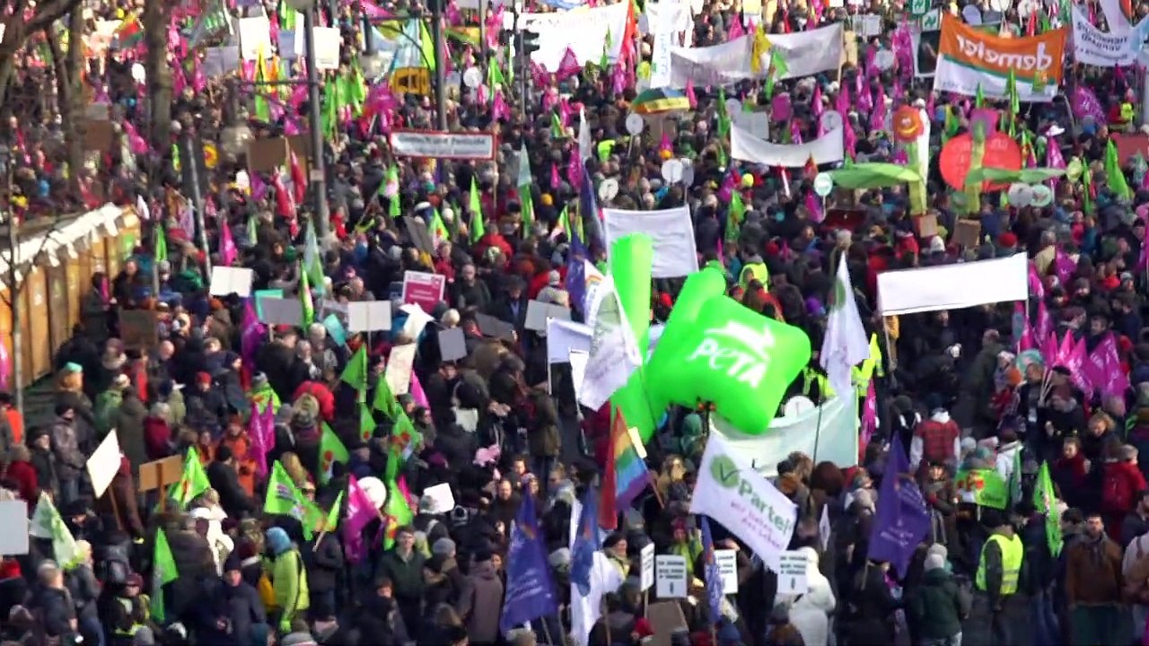 'Wir haben es satt': Demo gegen Agrarpolitik in Berlin