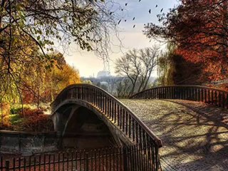 AYNUR AVCI SES  VE ŞİİR SONBAHAR