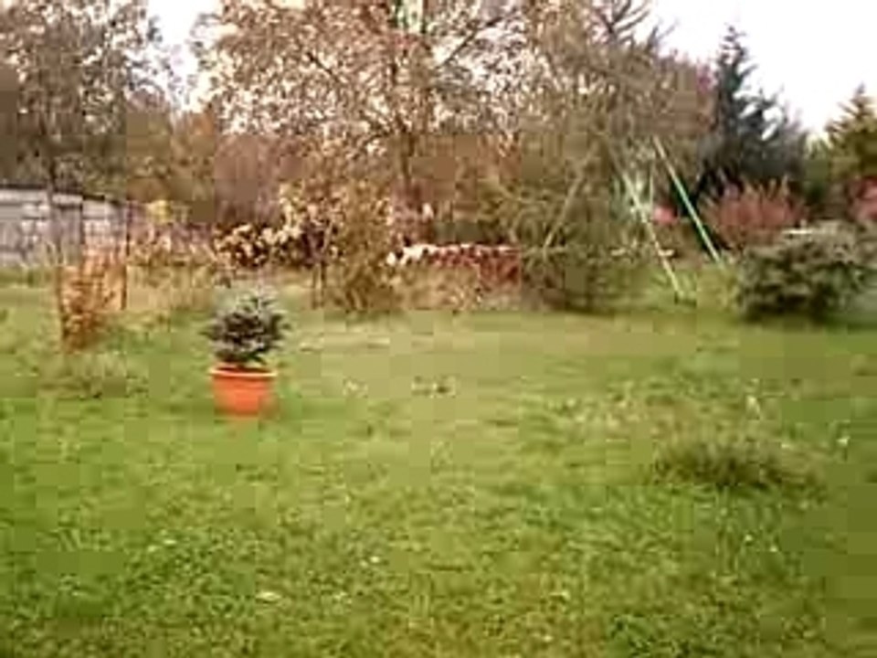 PICT0063