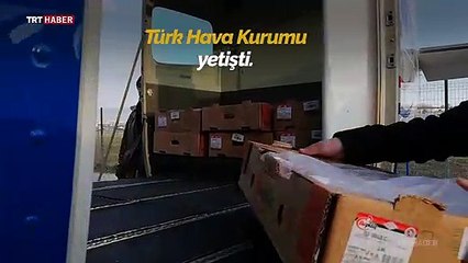Karda mahsur kalan hayvanlara havadan yiyecek atıldı