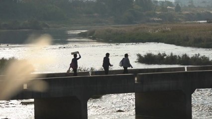 시가 흐른다, 시가 춤춘다...한겨울 시의 향연 '풍성' / YTN