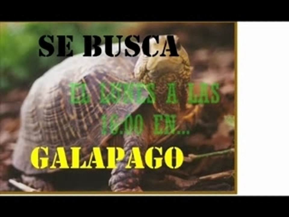 Promo 1