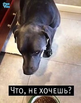 Подогрей хотя бы