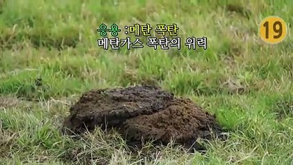 방귀 vs  똥 + 불 붙이기