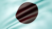 Japan Flag Footage Stock Video