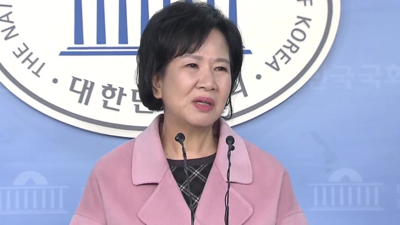 '투기 의혹' 손혜원, 오전 11시 기자회견 / YTN