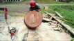 Dangerous Technology Fastest Workers Biggest Tree Felling Cutting Down (1)