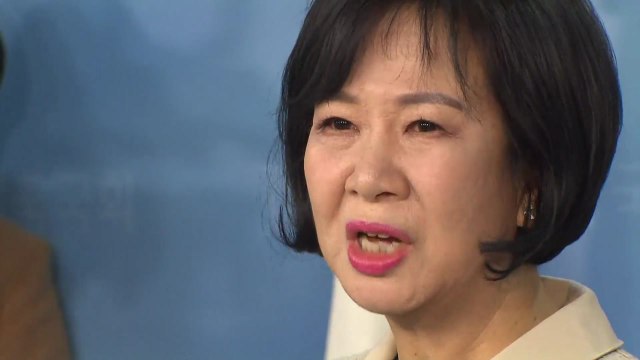 '투기 의혹' 손혜원 의원, 더불어민주당 탈당... SBS 고소 / YTN