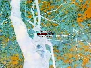 Baby Shakespeare in G Major [Part 2]