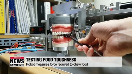 New 'chewing robot' helps develop softer food for the elderly
