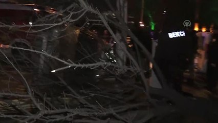Otomobil Ağaca ve 2 Polis Aracına Çarpıp Devrildi: 4 Yaralı