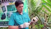 Born to Be Wild: Releasing reticulated pythons back into the wild
