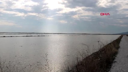 İzmir Ekili Alanları Sular Altında Kalan Foçalı Çiftçi Destek İstedi