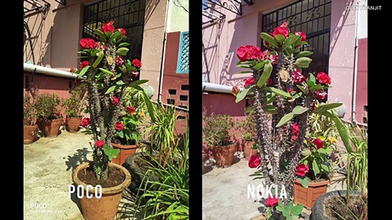 Nokia 8.1 Vs Poco F1 In-depth Camera Comparison - Who Is Better