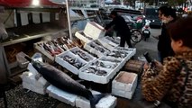 Balıkçıların Ağına 70 Kiloluk Kılıç Balığı Takıldı