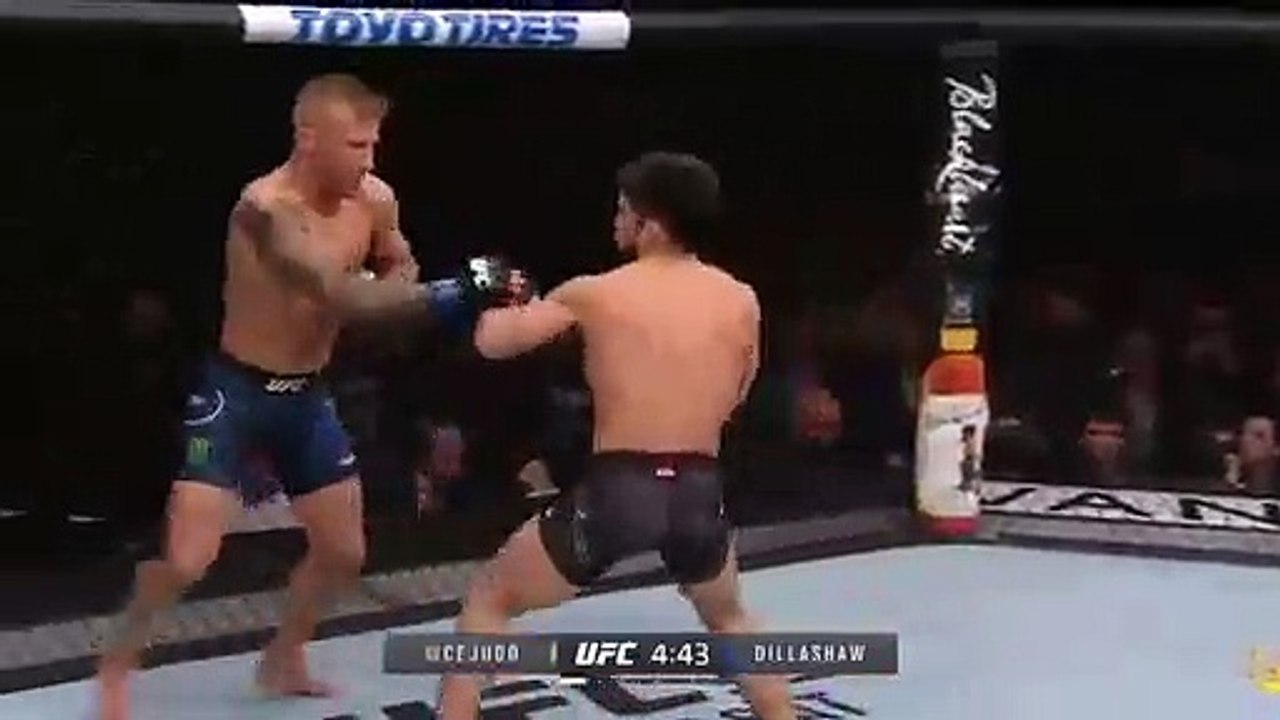 Cej v Tj