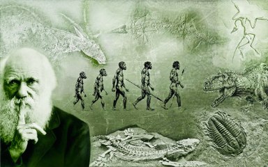 What Darwin Never Knew