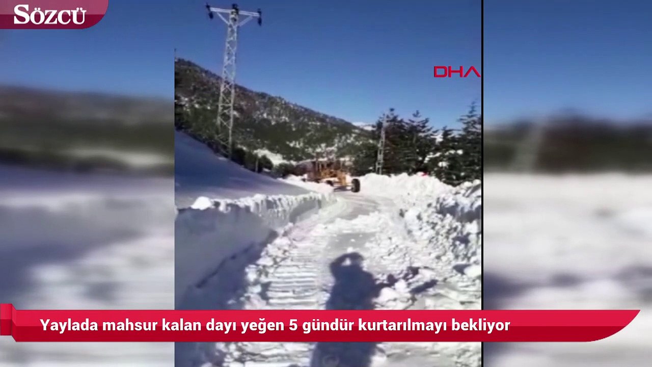 Yaylada mahsur kalan dayı yeğen 5 gündür kurtarılmayı bekliyor