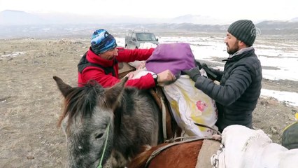 Yük taşımakta kullanılan katırlar dağcıların yoldaşı oldu - IĞDIR