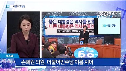 손혜원, ‘더불어민주당’ 작명하고 결국 탈당 선언