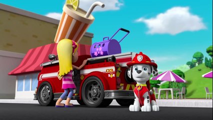 مارشال أنقذ القطة.. شاهد الفيديو